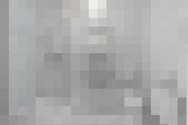 Goudhaver 13 Tiel thumbnail 22