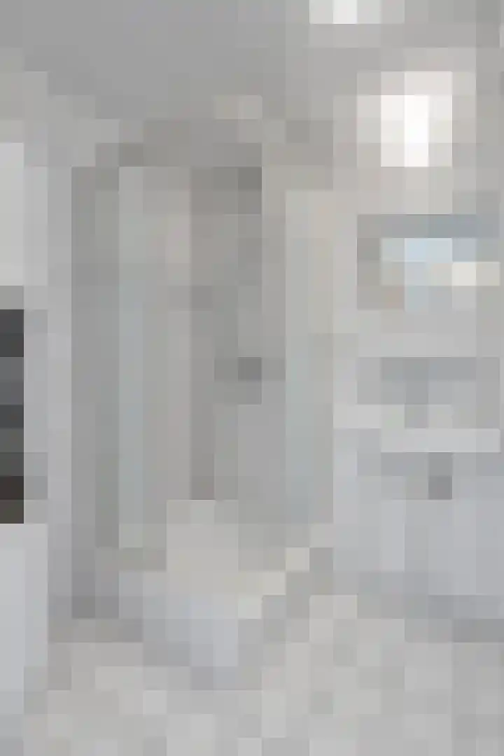 Goudhaver 13 Tiel thumbnail 23