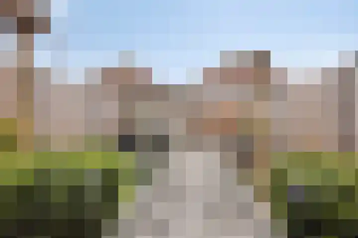 Goudhaver 13 Tiel thumbnail 25