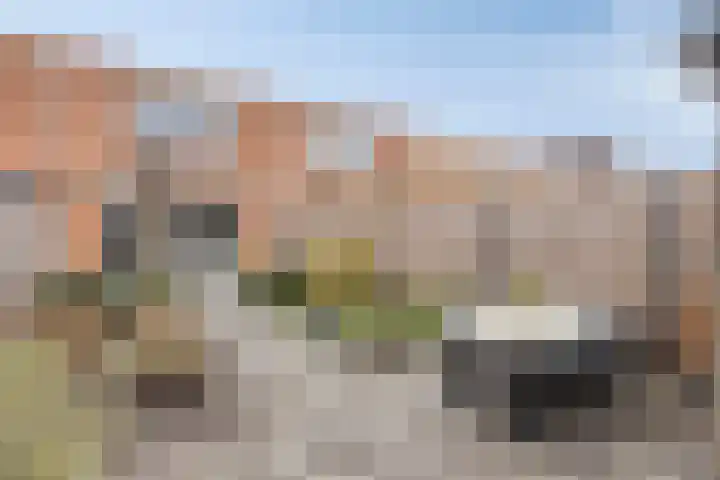 Goudhaver 13 Tiel thumbnail 26