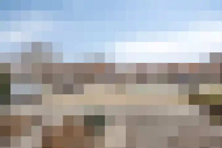 Goudhaver 13 Tiel thumbnail 27