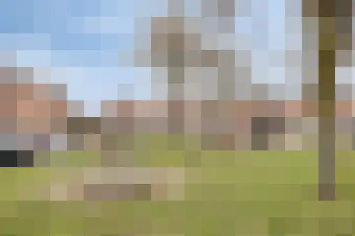 Goudhaver 13 Tiel thumbnail 28