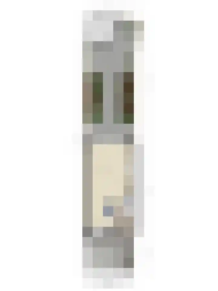 Goudhaver 13 Tiel thumbnail 29