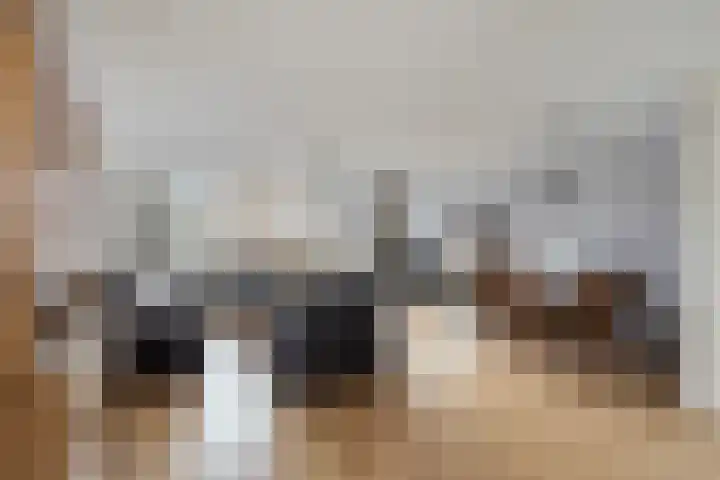 Goudhaver 13 Tiel thumbnail 4