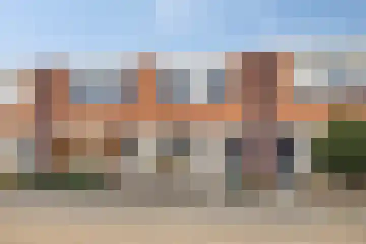 Goudhaver 13 Tiel thumbnail 5