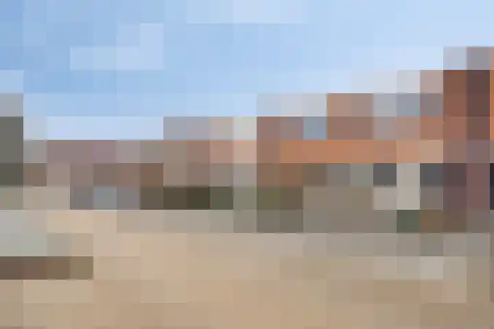 Goudhaver 13 Tiel thumbnail 7