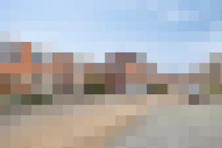 Goudhaver 13 Tiel thumbnail 8