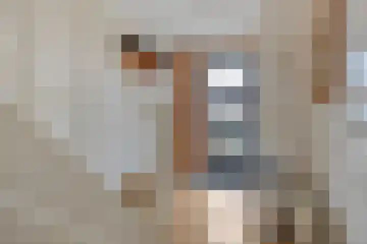 Goudhaver 13 Tiel thumbnail 9