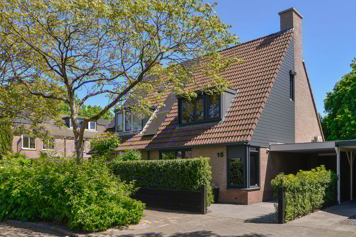 Goudhaver 15 in Eemnes foto