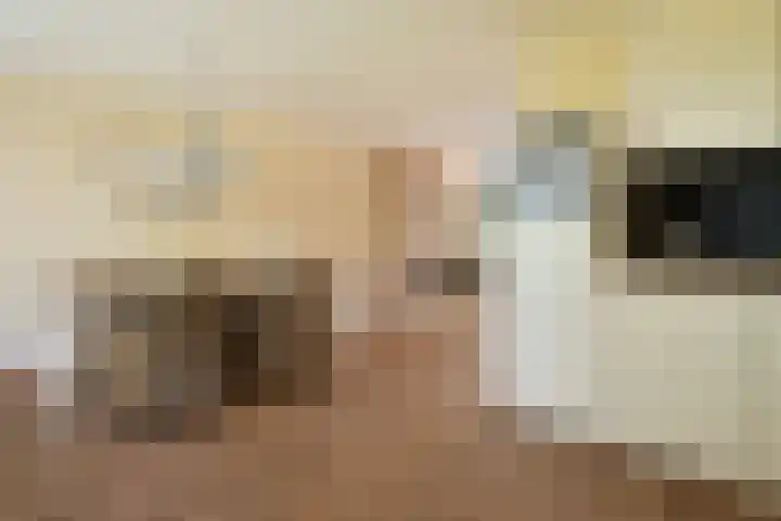 Goudhaver 15 Eemnes thumbnail 10