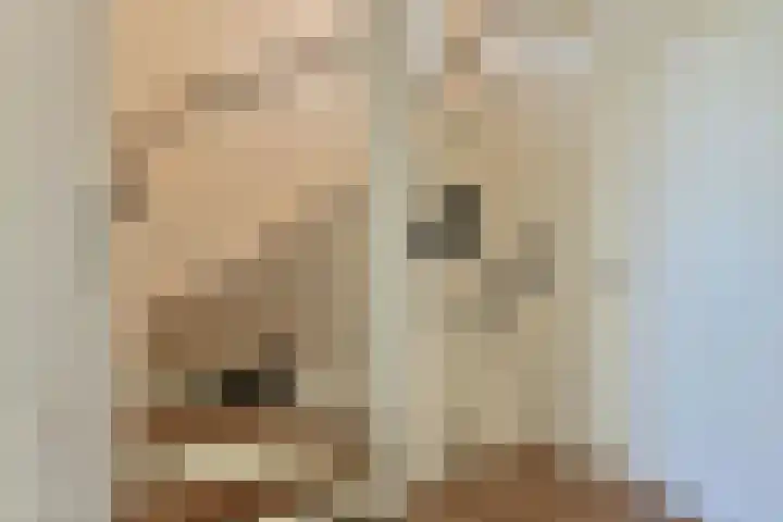 Goudhaver 15 Eemnes thumbnail 11