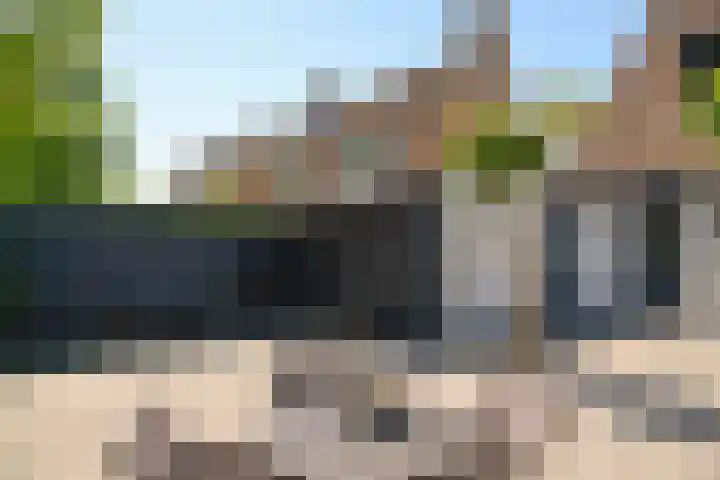 Goudhaver 15 Eemnes thumbnail 20