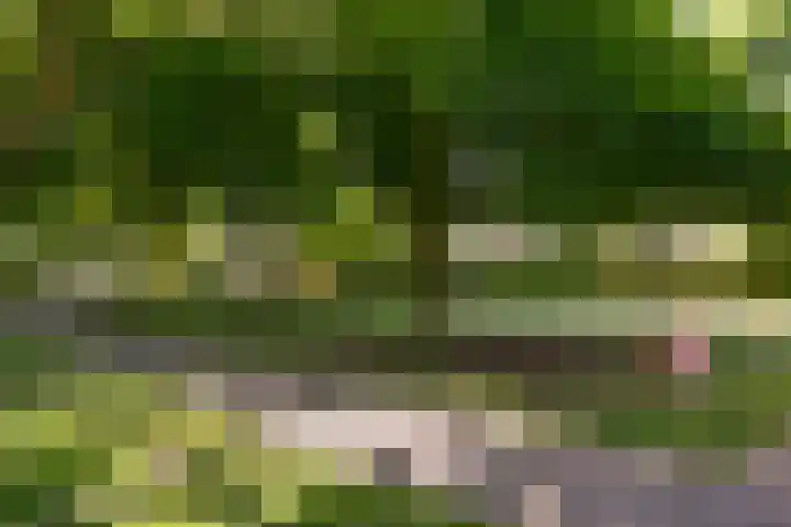 Goudhaver 15 Eemnes thumbnail 22