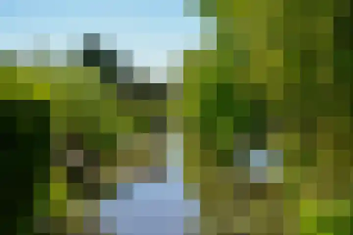Goudhaver 15 Eemnes thumbnail 23
