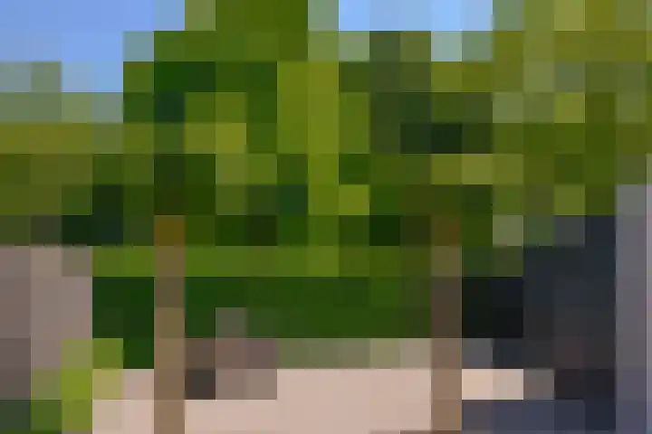 Goudhaver 15 Eemnes thumbnail 4
