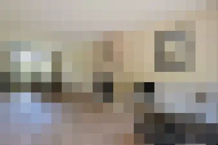 Goudhaver 15 Eemnes thumbnail 6