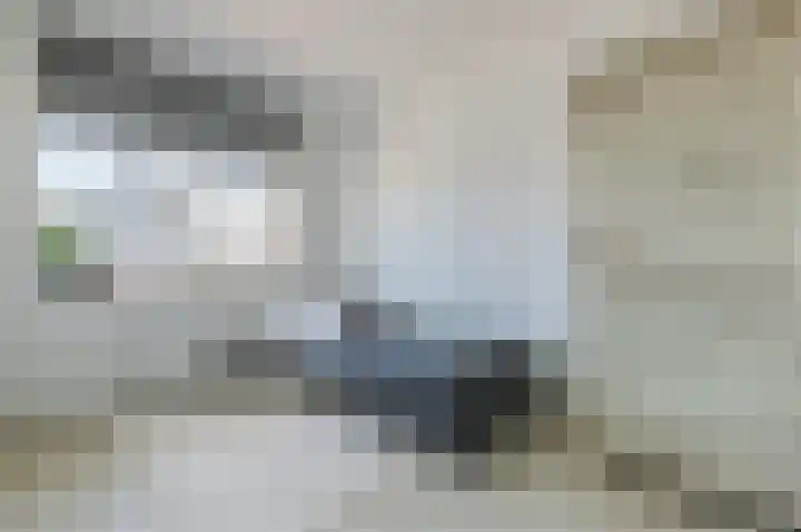 Goudhaver 16 Anna Paulowna thumbnail 18