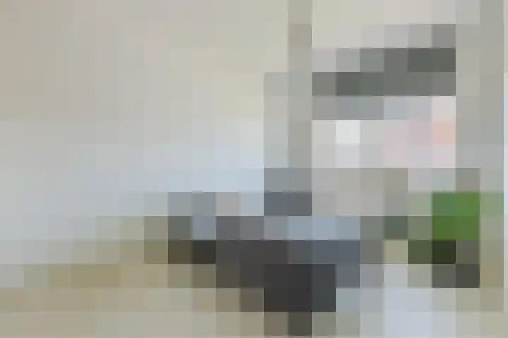 Goudhaver 16 Anna Paulowna thumbnail 21