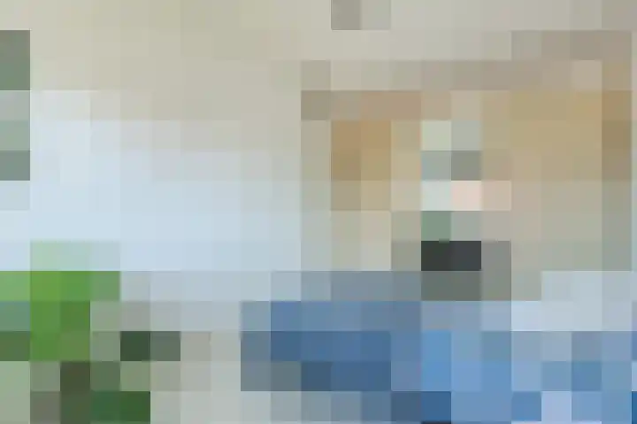 Goudhaver 16 Anna Paulowna thumbnail 23