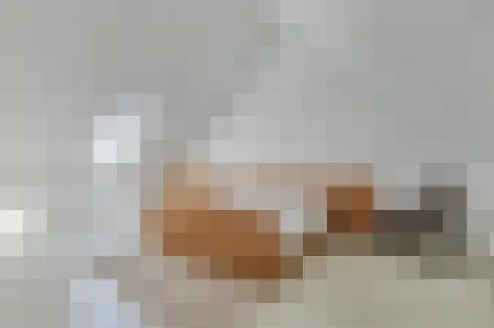 Goudhaver 16 Anna Paulowna thumbnail 31