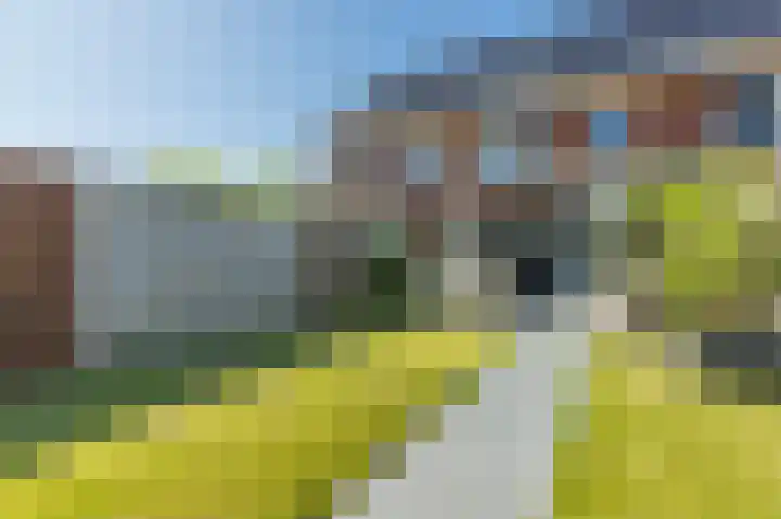 Goudhaver 16 Anna Paulowna thumbnail 41
