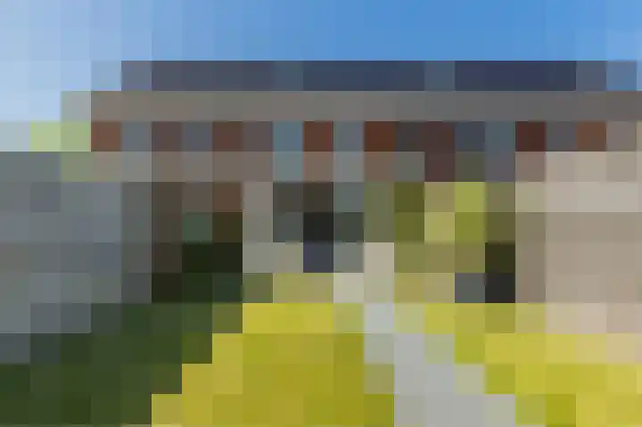 Goudhaver 16 Anna Paulowna thumbnail 43