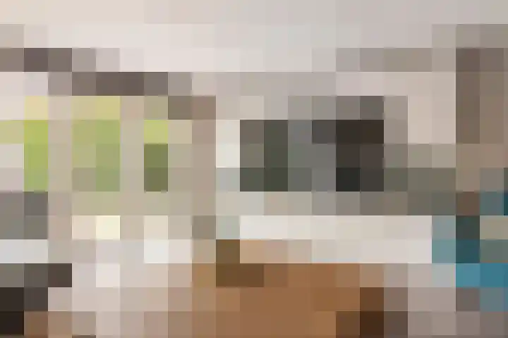 Goudhaver 2 Tiel thumbnail 11