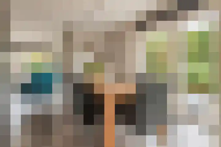 Goudhaver 2 Tiel thumbnail 15