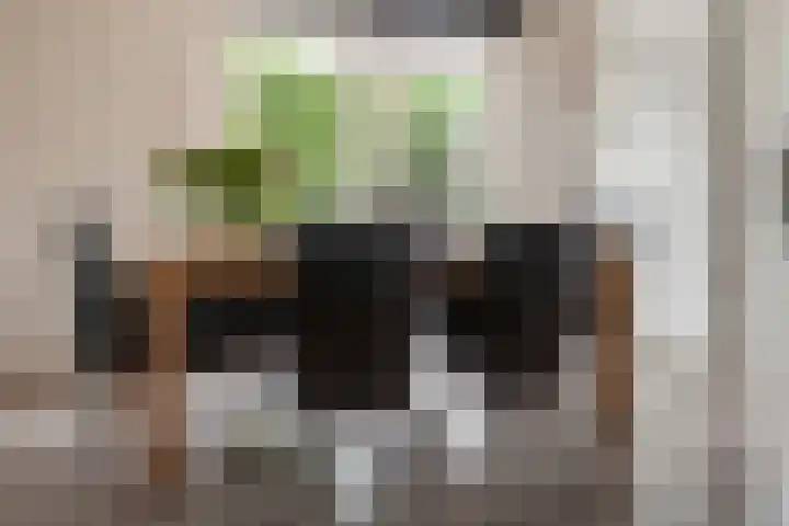 Goudhaver 2 Tiel thumbnail 18