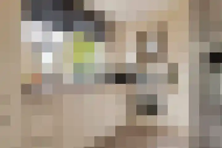 Goudhaver 2 Tiel thumbnail 20