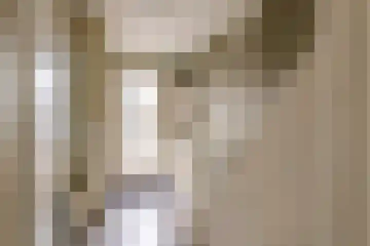 Goudhaver 2 Tiel thumbnail 22