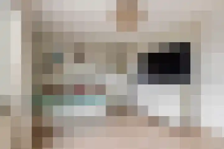 Goudhaver 2 Tiel thumbnail 25