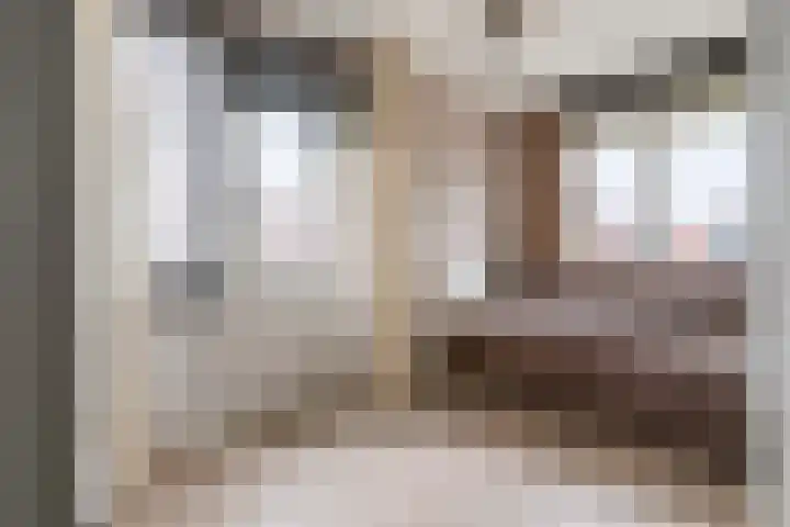 Goudhaver 2 Tiel thumbnail 26