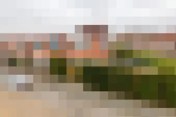 Goudhaver 2 Tiel foto 3