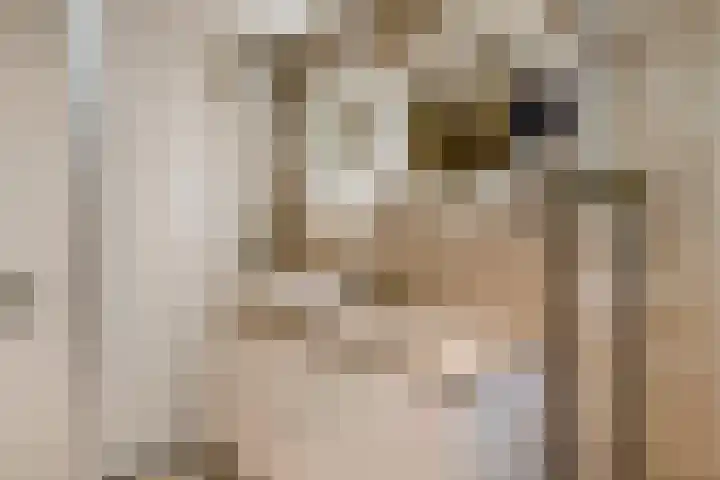 Goudhaver 2 Tiel thumbnail 30