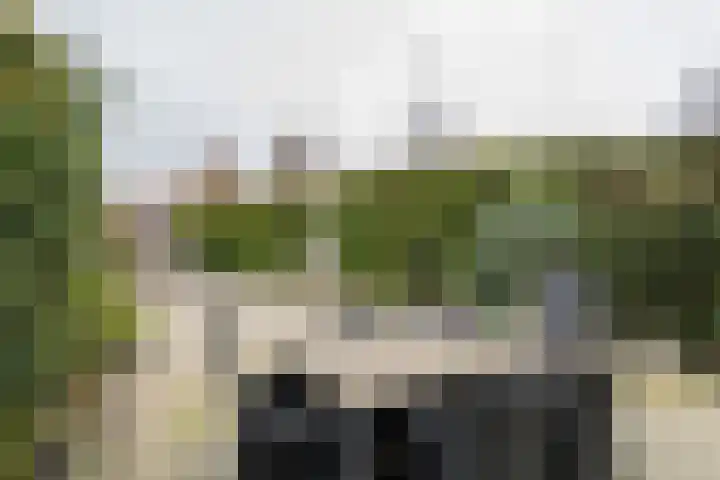 Goudhaver 2 Tiel thumbnail 35