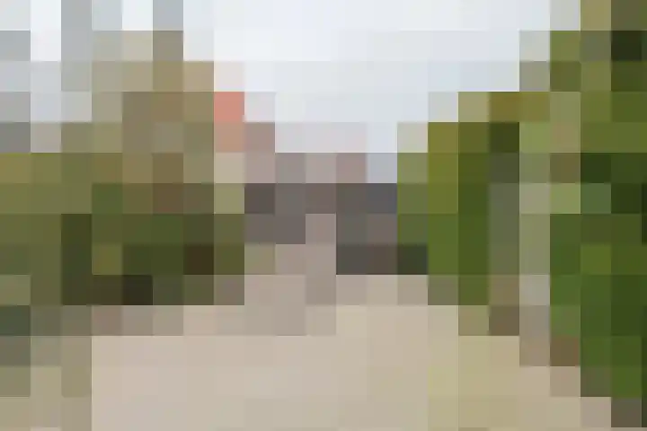 Goudhaver 2 Tiel thumbnail 36