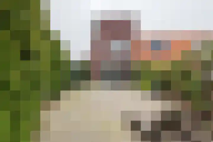 Goudhaver 2 Tiel thumbnail 37