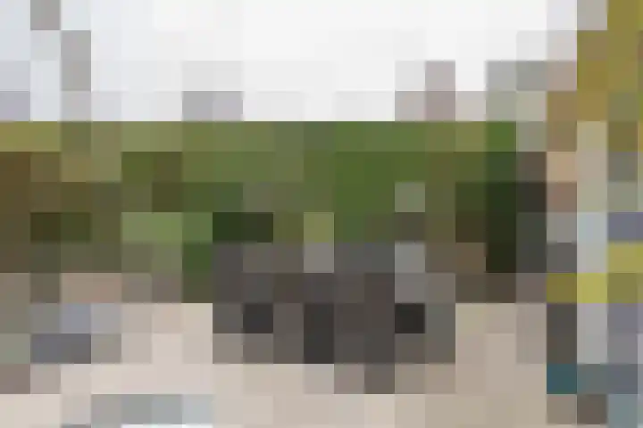 Goudhaver 2 Tiel thumbnail 38