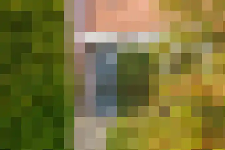 Goudhaver 2 Tiel thumbnail 4