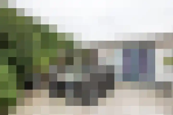 Goudhaver 2 Tiel thumbnail 40