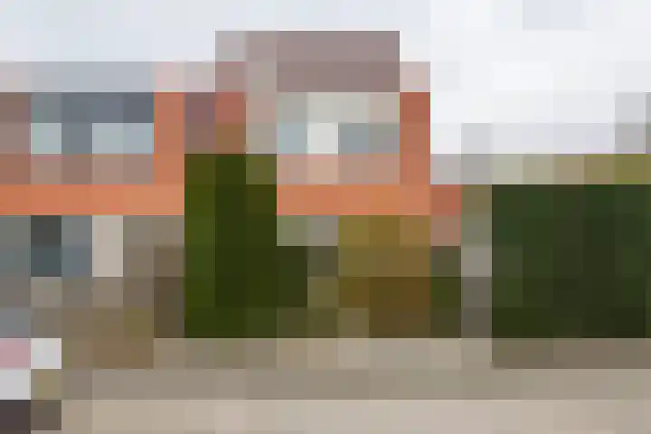 Goudhaver 2 Tiel thumbnail 41