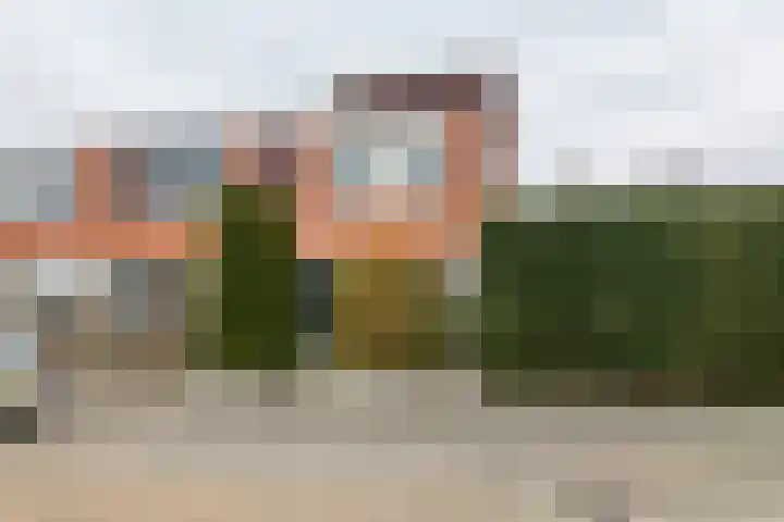 Goudhaver 2 Tiel thumbnail 42