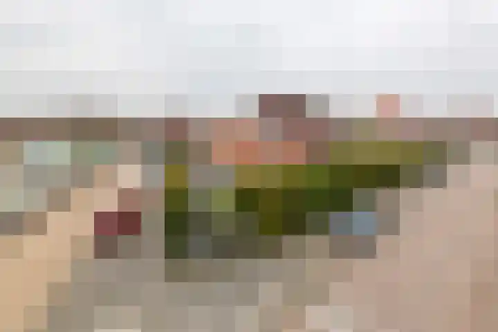 Goudhaver 2 Tiel thumbnail 43