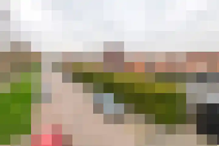 Goudhaver 2 Tiel thumbnail 44