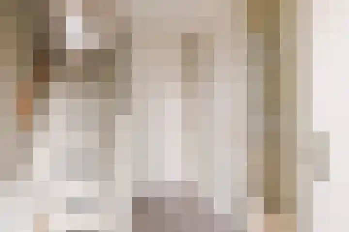 Goudhaver 2 Tiel thumbnail 5