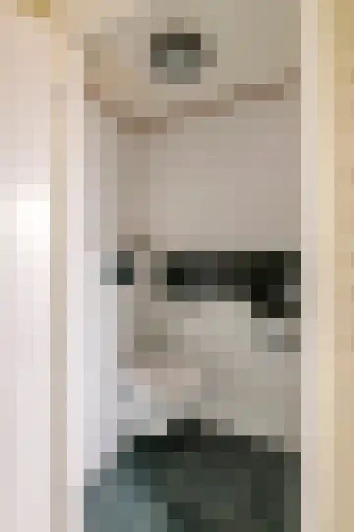 Goudhaver 2 Tiel thumbnail 6