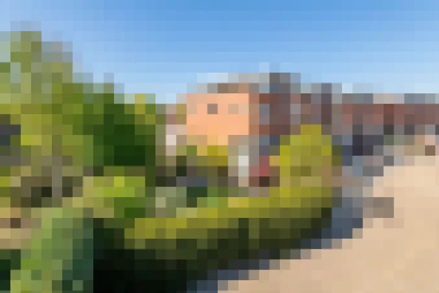 Goudhaver 35 Tiel thumbnail 18