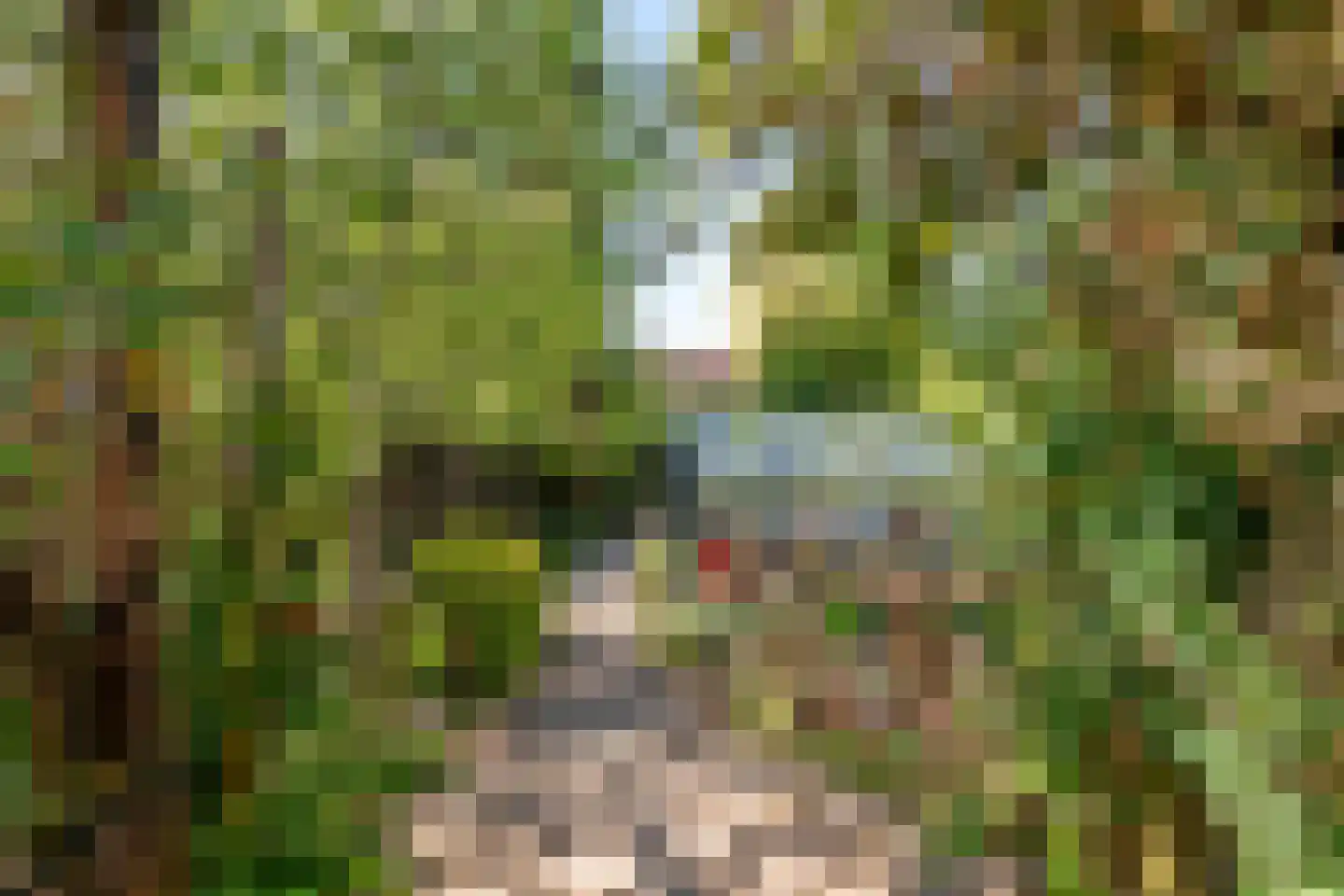 Goudhaver 35 Tiel thumbnail 19
