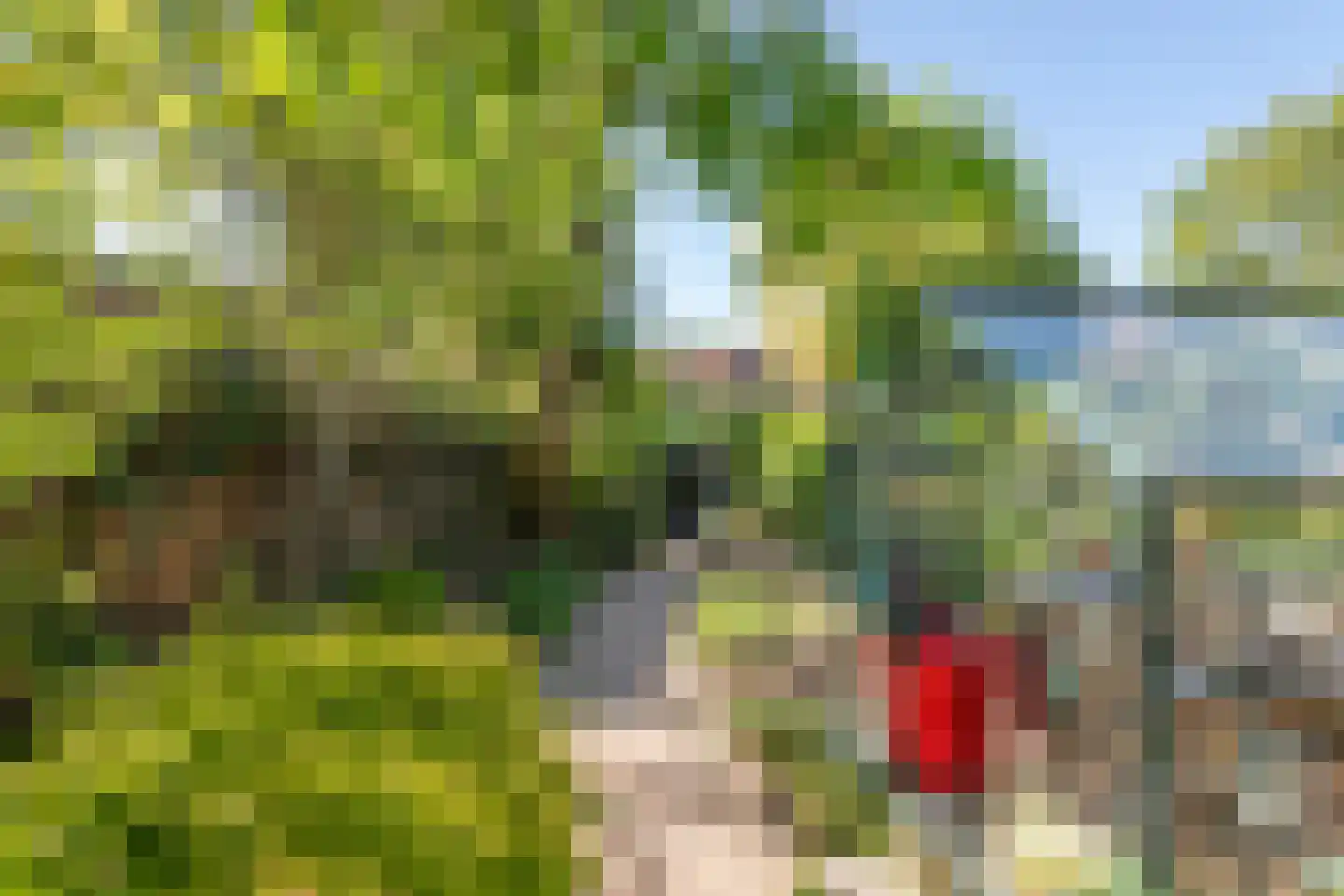 Goudhaver 35 Tiel thumbnail 20